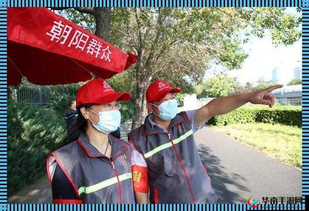 热心的朝阳群众 51cg3fun：守望城市安全的守护者