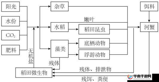 人与畜禽的最新业务:打造可持续的农业生态系统