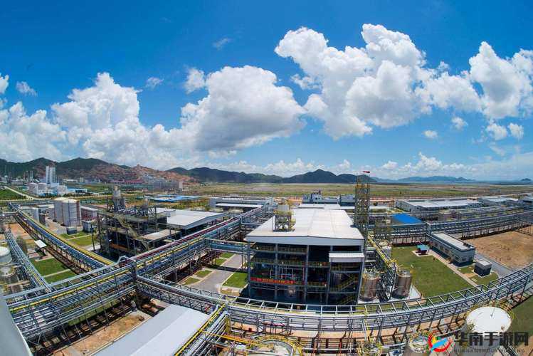 九一果冻制品厂杨柳：关于其发展历程与未来展望的全面解析