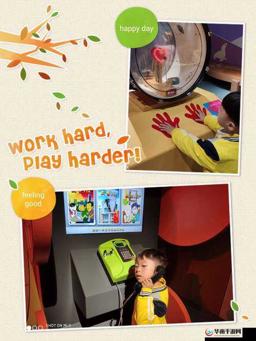 探索脱色摇床游戏的奇妙奥秘与乐趣