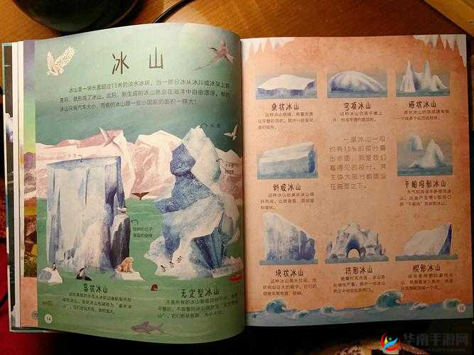 姐妹们碰到最大的东西有多大：探索未知的边界