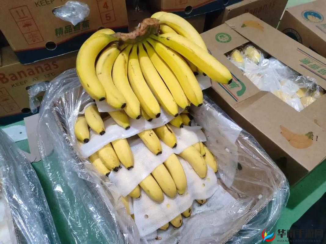 成都巨香蕉商贸有限公司：致力于提供优质商品与服务的企业