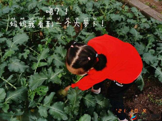 挤牛奶拔萝卜怎么拔:关于其方法步骤的详细探讨