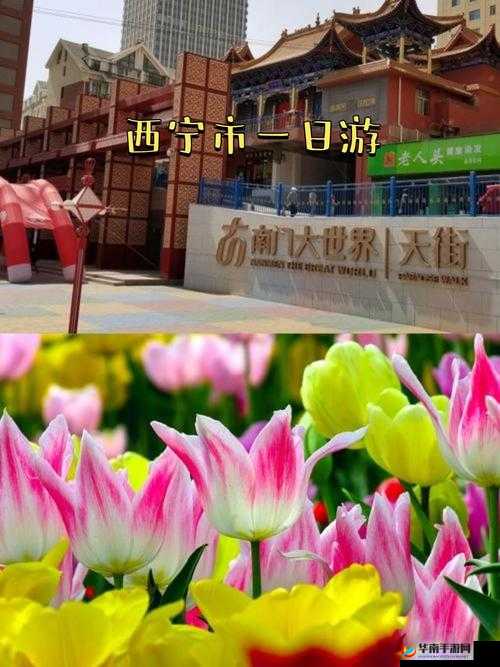 漂亮小满足你——开启别样精彩之旅