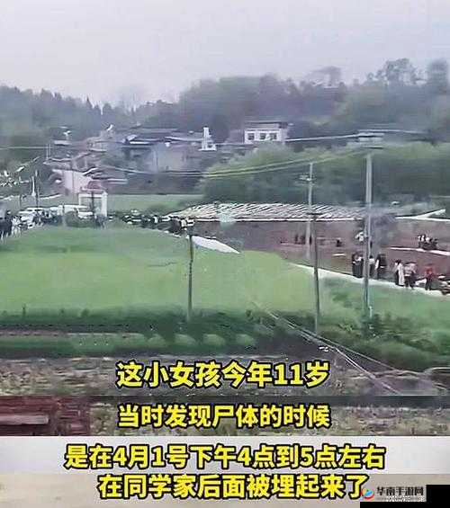 yw193.coc 龙物失联事件持续引发关注：究竟发生了什么？