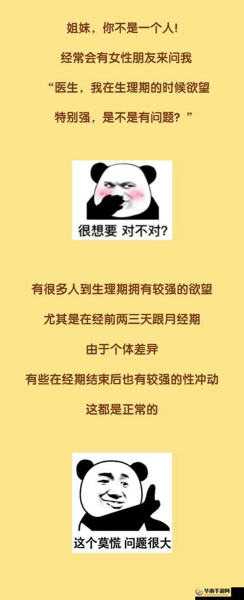 1000 啪啪啪啪啪啪：一场独特而神秘的未知之旅