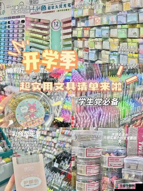 六年级下面可以塞几支笔：探索小学生文具携带数量之谜