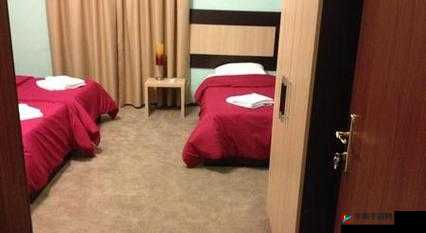 亚洲 OV 一区二区三区酒店偷拍：揭秘酒店背后的秘密