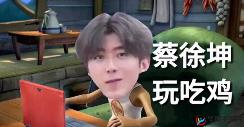 ：小女孩在网络上恶搞蔡徐坤，是一种什么样的行为？