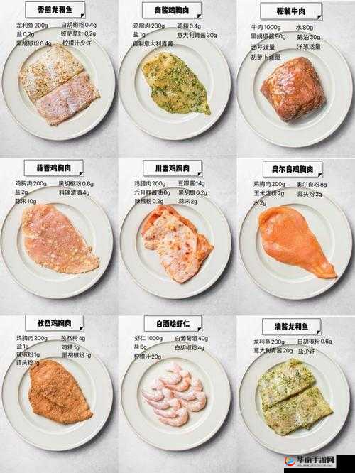 肉食家庭食取报告 1 免费：深入探究家庭肉类消费模式与习惯