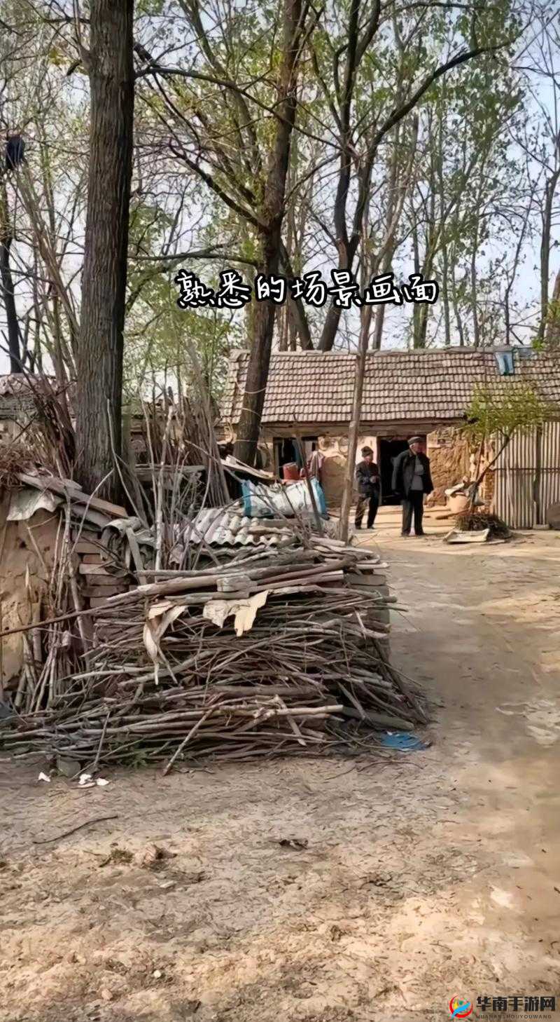 老孙头的春天一目尽是沧桑：一个老人的故事与感慨