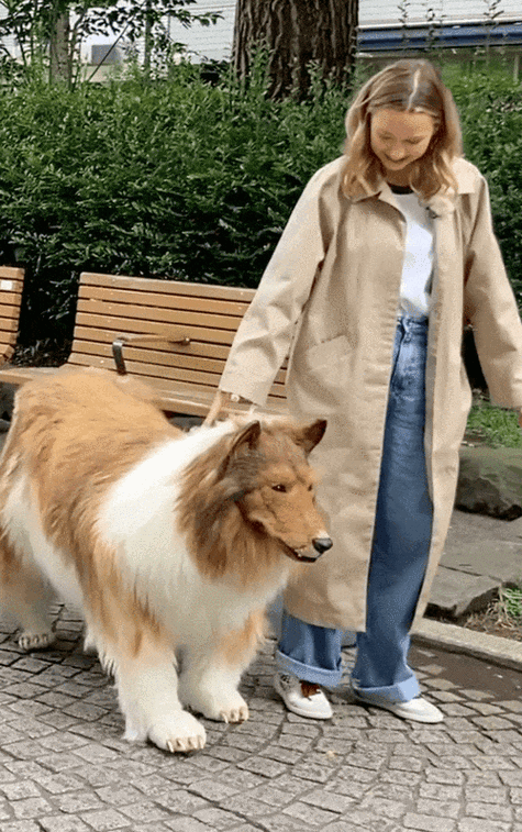 女人戴上项链变狗:这背后隐藏着怎样的神秘力量与故事