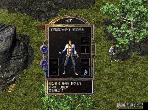 60 多岁镖客奶奶：传奇人生中的热血与坚守