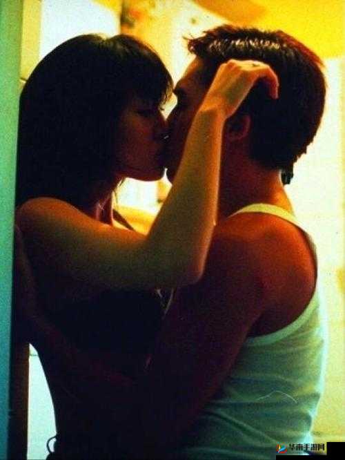 爱情动作片：探寻成人世界的私密角落