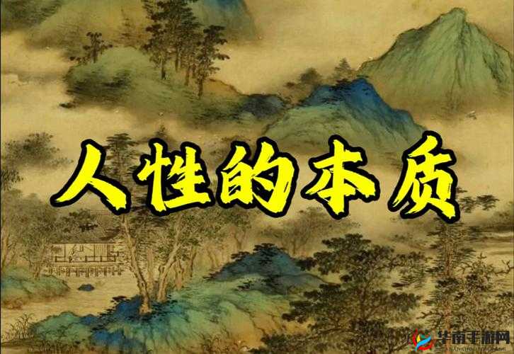 欧美人与物物交ZZZZ0000：探索文化差异与人性本质