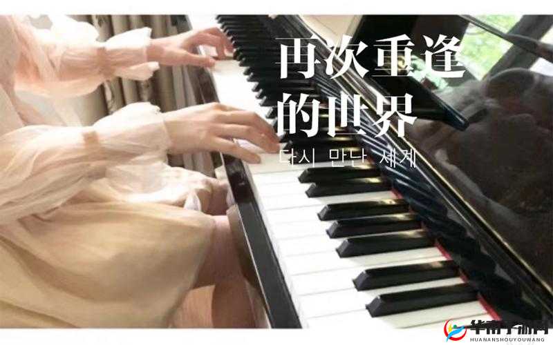 孟狐狸哔哩哔哩：带你走进奇妙的哔哩哔哩世界