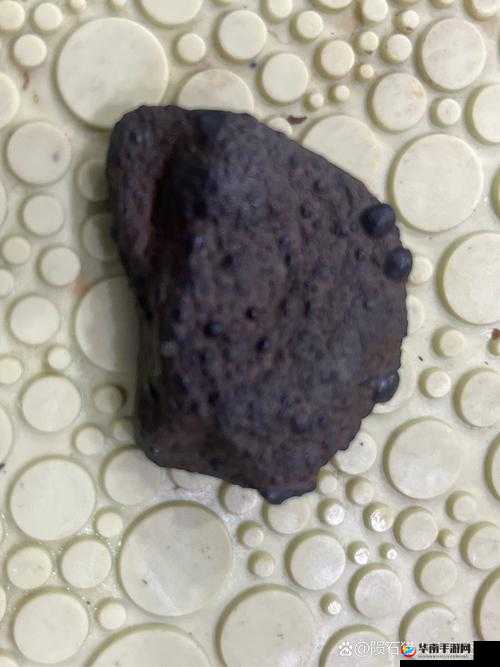 小女孩半夜被喂进嘴里的神秘物体居然是它