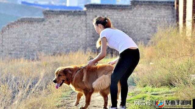 狗配人会锁住多久：探索人与狗之间的奇妙关系