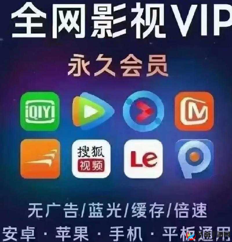 日本道 v 清无卡无马：畅享纯净高清影视资源