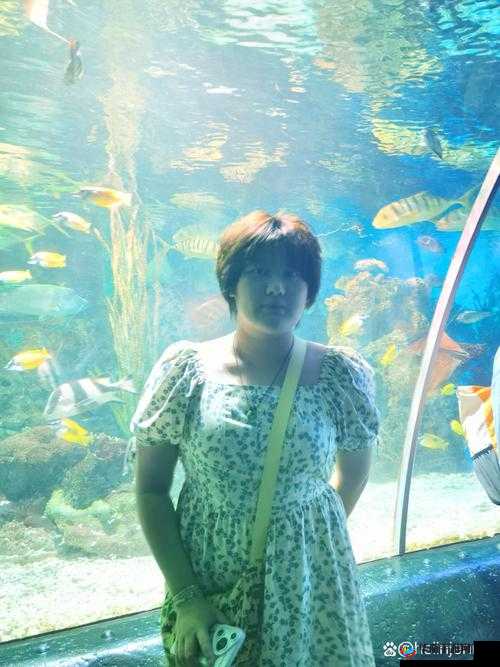 Z〇ZOZ〇女人另类 ZOZ〇：探索未知的世界