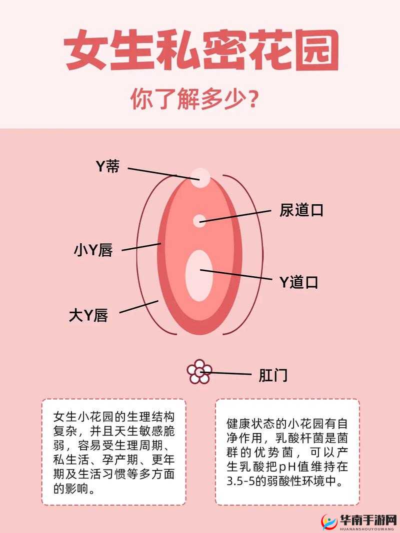 老公每天晚上吃小花园是否合适：这是一个私密的问题，需要夫妻双方坦诚沟通