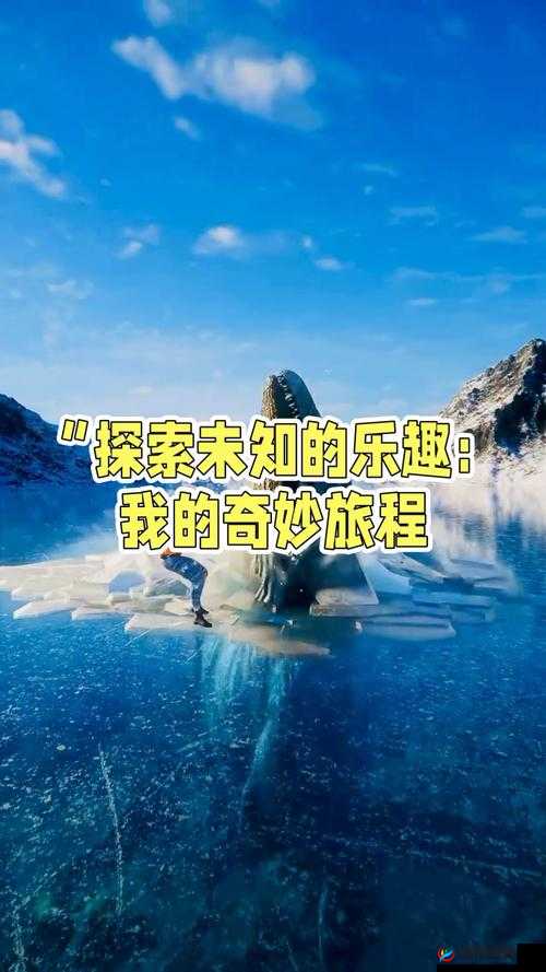 人与另类 Z0Z XHD:探索未知世界的奇妙旅程