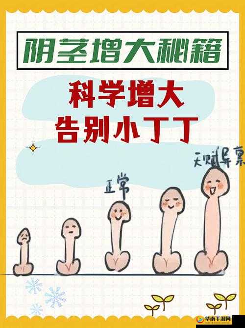 怎么能让自己的鸡变大变长:科学方法与注意事项