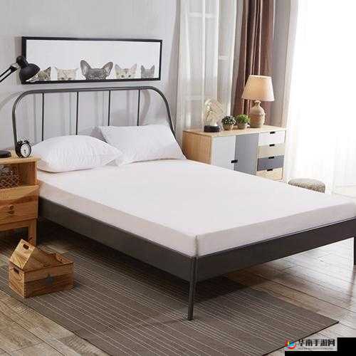 久久久夜色精品亚洲 OV 图片香蕉：独特夜色中的精彩呈现