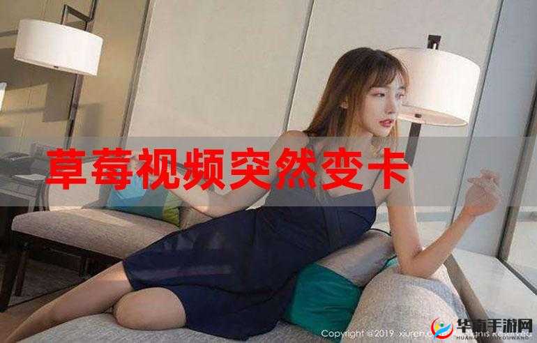 8x8x 在线可以观看：丰富影视资源，满足你的娱乐需求