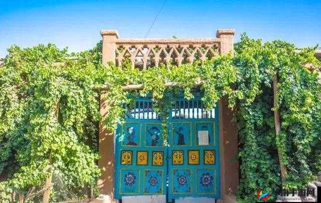 在线国产门新疆一区精品之独特魅力呈现