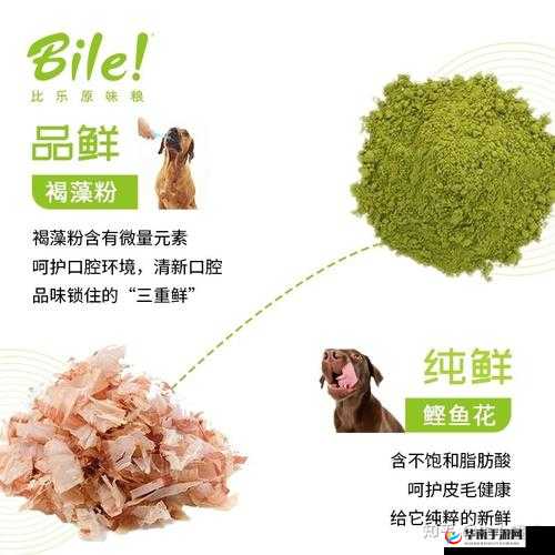 人狗胶配方大全及狗狗图片相关内容全知晓