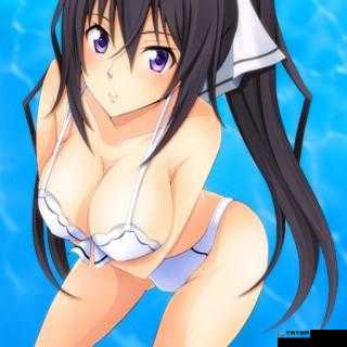 抓 QQ 弹弹的大欧派：探寻那独特的魅力与诱惑