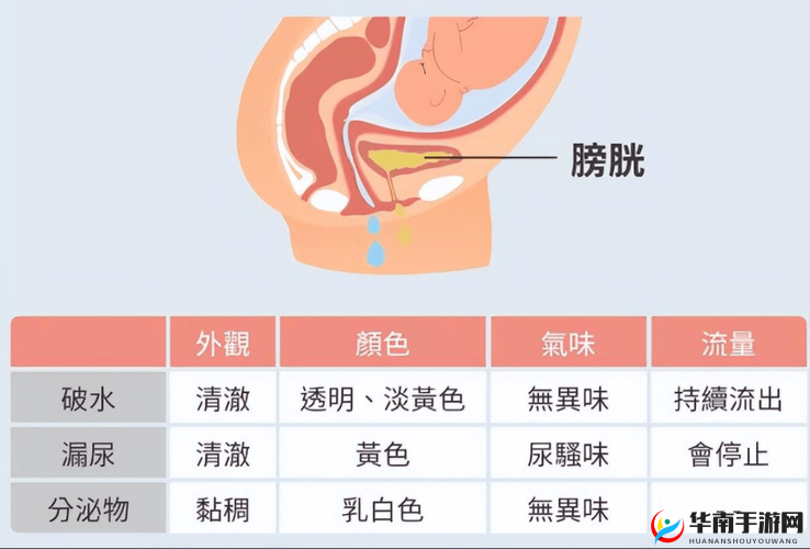 人怎么进入羊水门：探秘这一神秘过程的具体方式和途径