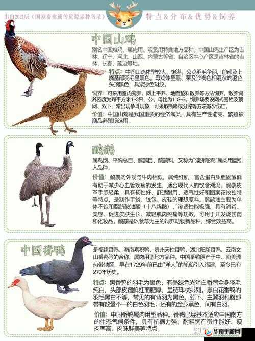 美国人与畜禽的那些有趣故事或美国人与畜禽相关的别样经历