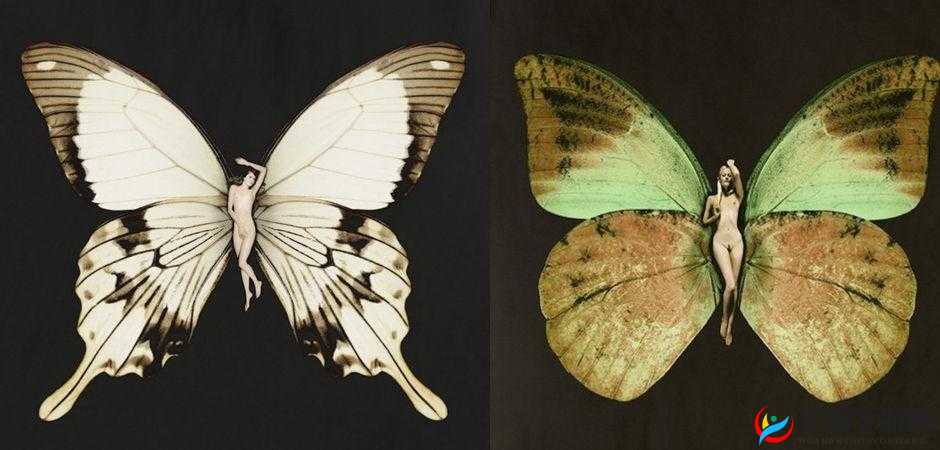 人体艺术的魅力:青青草的美丽与神秘