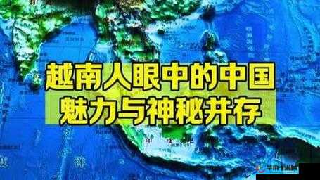 探索第七色网背后的神秘世界与独特魅力