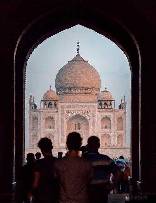 37 西方人文艺术 Company ：探寻西方人文艺术的奥秘之旅