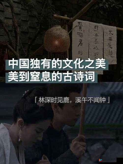 中国妞 69：一段跨越文化的美丽与争议