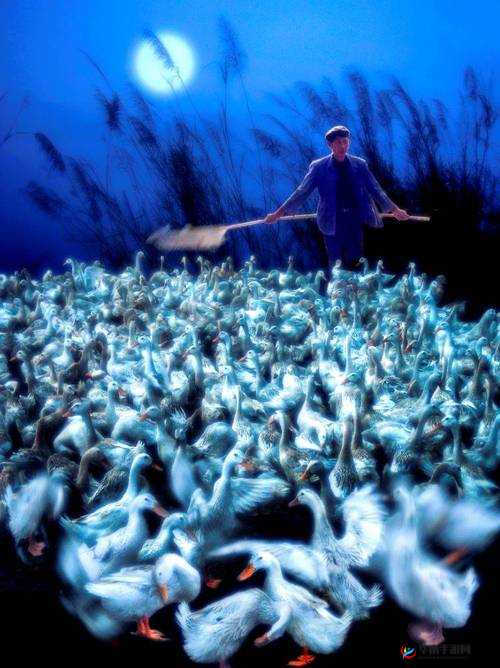 中国大但人文艺术：摄影的魅力与内涵