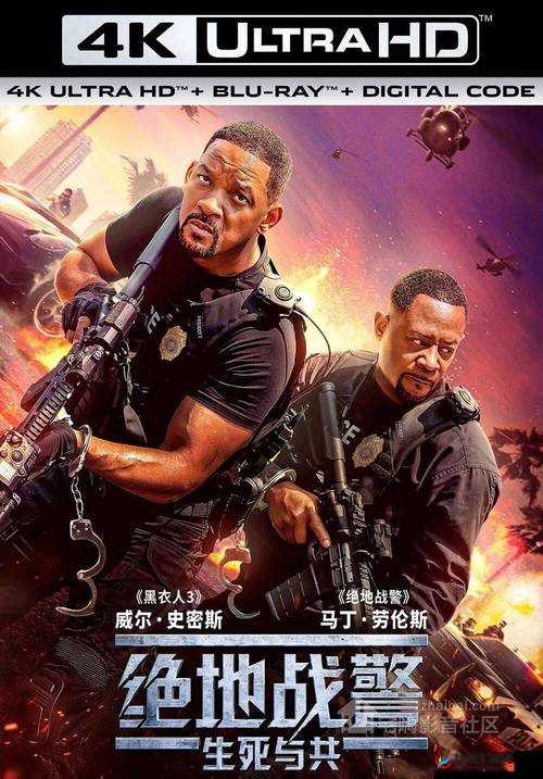 日本最新动作片：华丽的战斗与极致的情感