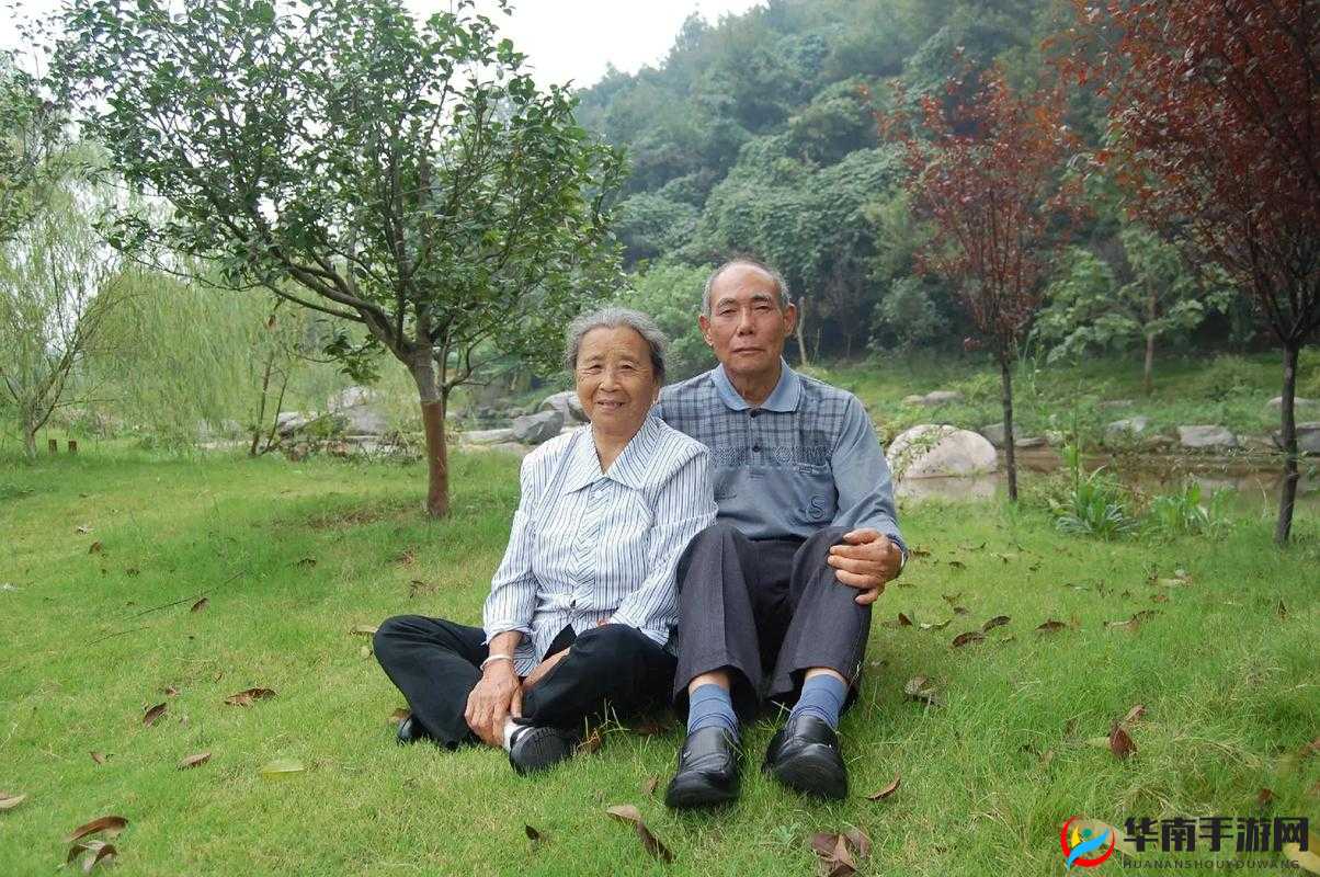 东北老太老头国产相关内容的完整性呈现