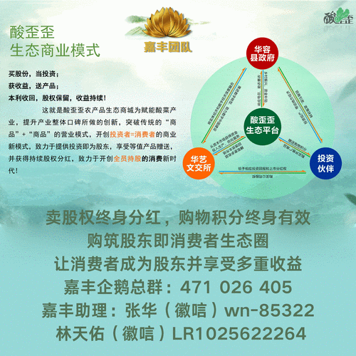 麻花传媒 CEO 带领团队创造辉煌成就开启全新征程