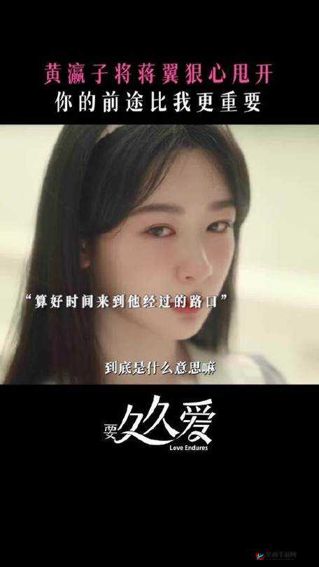 成全免费高清大全：畅享无限精彩视界