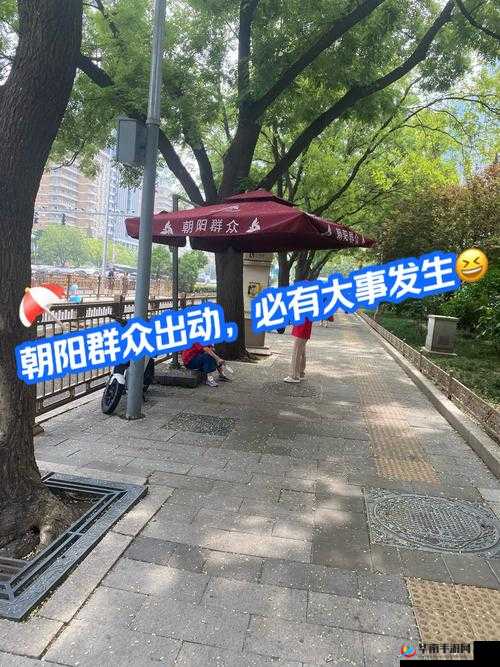 51 吃瓜北京朝阳群众热心吃瓜：见证正义与热心的力量