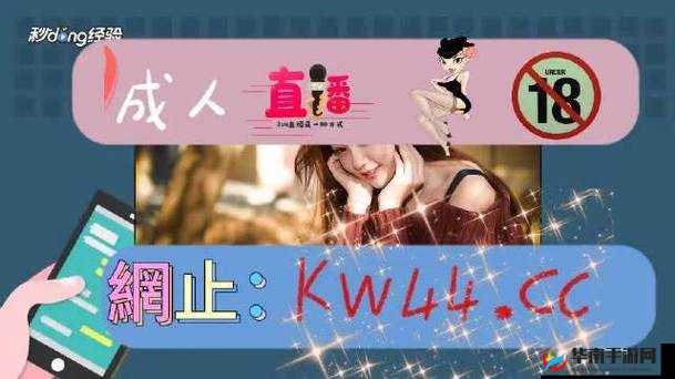 91 成人黄色相关内容：探索其背后的奥秘与影响