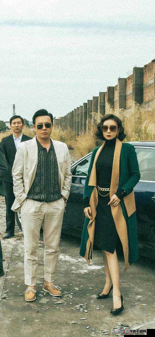 电视剧老卫和淑荣的别样人生