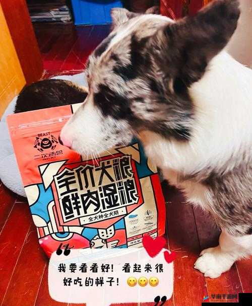 ZOOMSERVO 兽狗产品系列：带来全新卓越体验