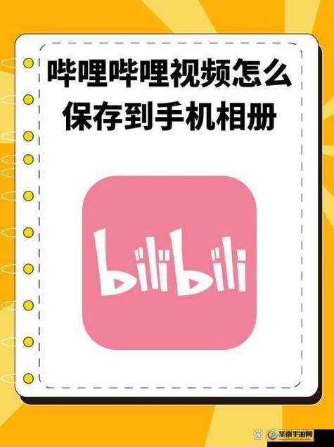 哔哩哔哩免费观看入口：带你畅享精彩视频世界