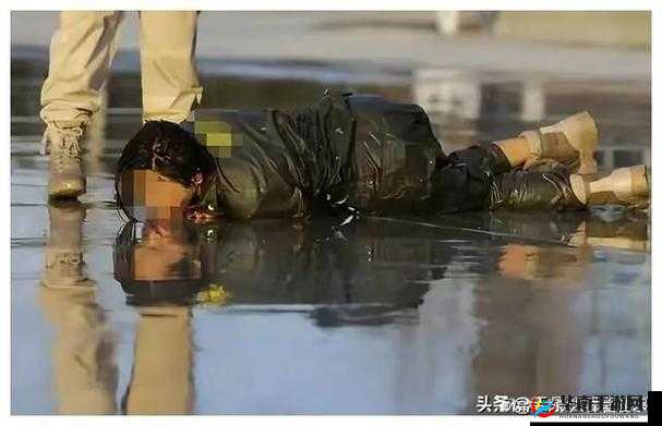 缅甸北部血腥网站免费进入：揭秘真实的网络世界