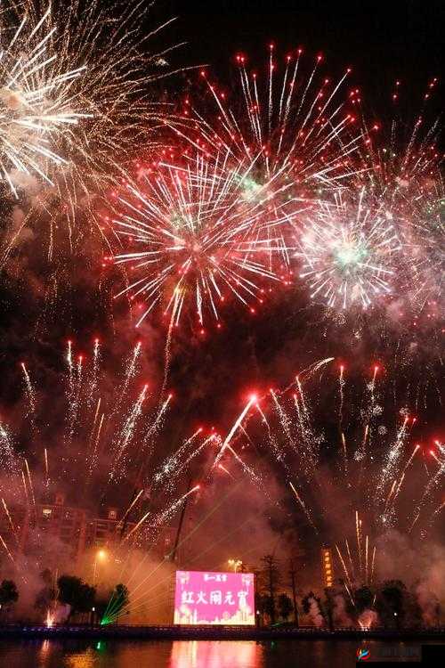 GOGOGO 免费高清视频 3:带来震撼视觉体验的精彩视频